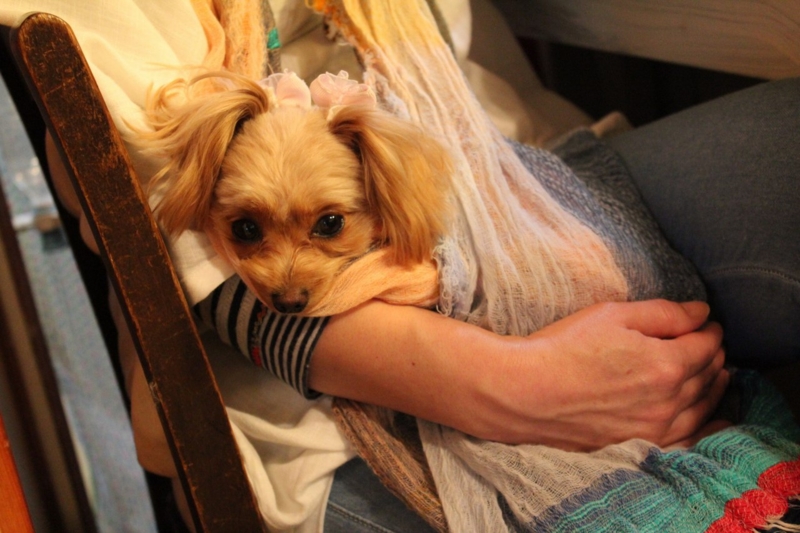 f:id:zappa38:20130424182405j:image f:id:zappa38:20130424182405j:image