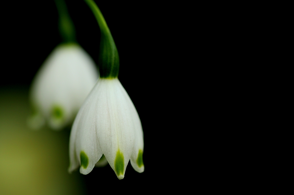 f:id:zatsugen:20160326220851j:plain