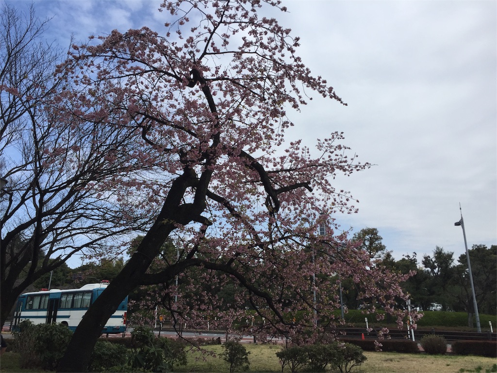 f:id:zawayoshi:20160320205122j:image f:id:zawayoshi:20160320205122j:image
