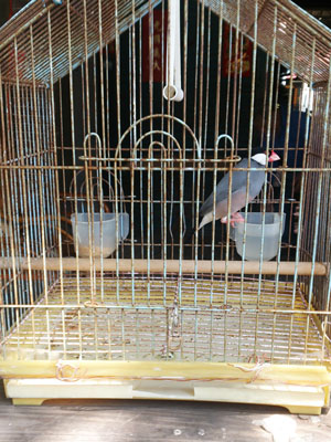 f:id:zazaizm:20160207213506j:plain f:id:zazaizm:20160207213506j:plain