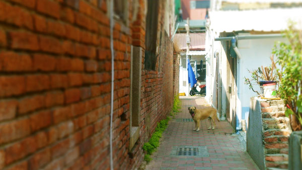 f:id:zazaizm:20160207222921j:plain f:id:zazaizm:20160207222921j:plain