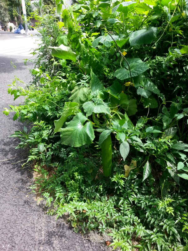 f:id:zerayoga:20130802101942j:plain f:id:zerayoga:20130802101942j:plain