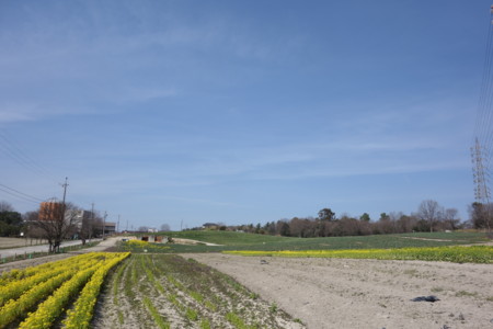 f:id:zex:20130317132907j:image:left f:id:zex:20130317132907j:image:left