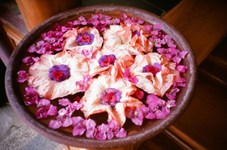 f:id:zex:20130513191857j:image f:id:zex:20130513191857j:image