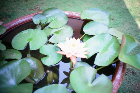 f:id:zex:20131006162911j:image f:id:zex:20131006162911j:image