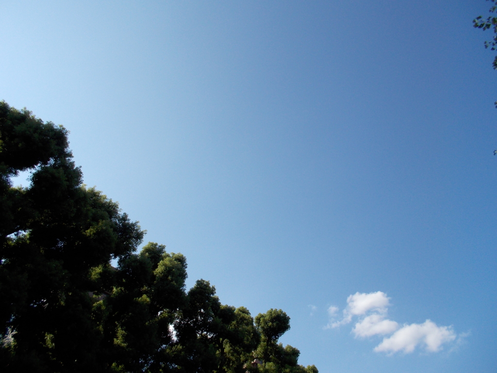 f:id:zokubunken:20150914203813j:plain f:id:zokubunken:20150914203813j:plain