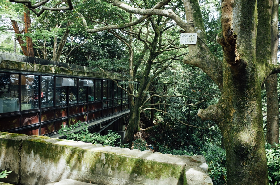 f:id:zoo_1112:20160612200118j:plain f:id:zoo_1112:20160612200118j:plain