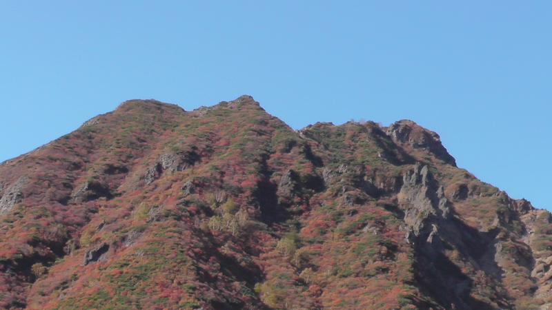 f:id:zoothorn00:20131013134751j:plain f:id:zoothorn00:20131013134751j:plain