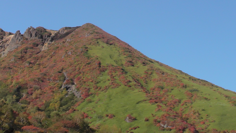 f:id:zoothorn00:20131013135056j:plain f:id:zoothorn00:20131013135056j:plain