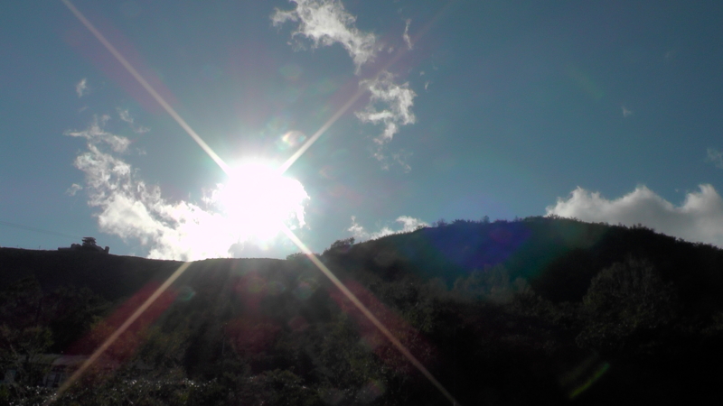 f:id:zoothorn00:20131013144242j:plain f:id:zoothorn00:20131013144242j:plain