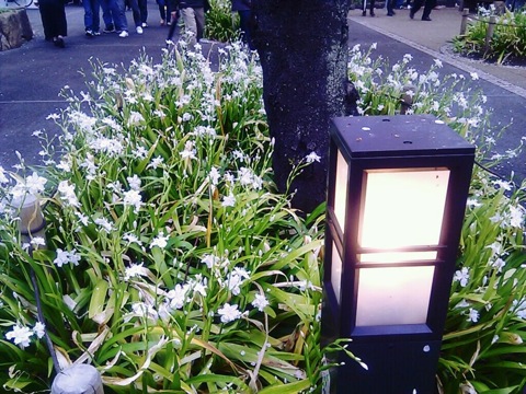 f:id:zou3tokirin3:20110409234618j:image f:id:zou3tokirin3:20110409234618j:image