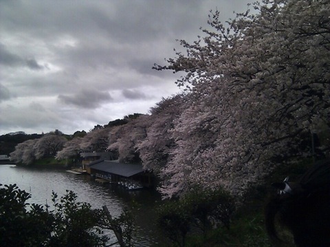 f:id:zou3tokirin3:20110409234619j:image f:id:zou3tokirin3:20110409234619j:image