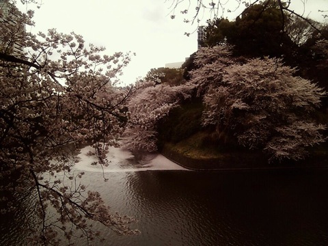 f:id:zou3tokirin3:20110409234620j:image f:id:zou3tokirin3:20110409234620j:image