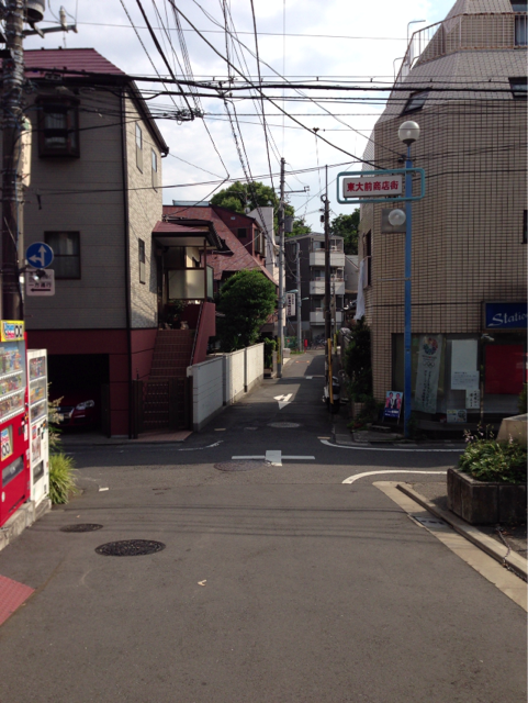 f:id:zuki_zuki_zukkii:20130610235137j:plain f:id:zuki_zuki_zukkii:20130610235137j:plain