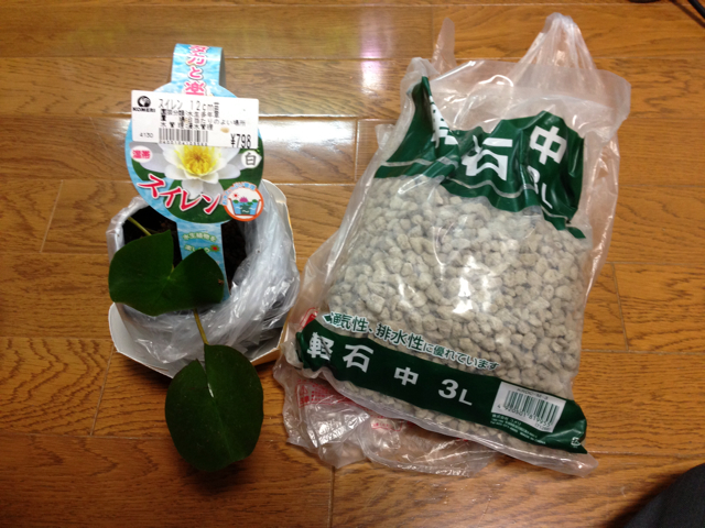 f:id:zuki_zuki_zukkii:20130611011147j:plain f:id:zuki_zuki_zukkii:20130611011147j:plain