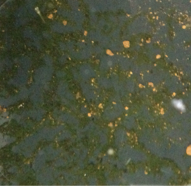 f:id:zuki_zuki_zukkii:20130614223935j:plain f:id:zuki_zuki_zukkii:20130614223935j:plain