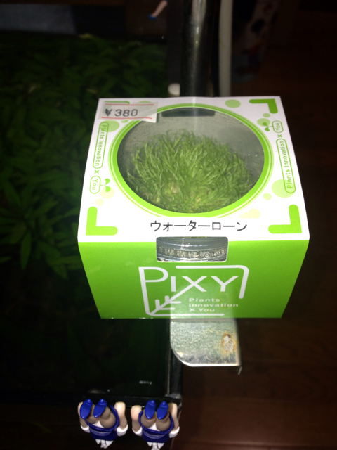 f:id:zuki_zuki_zukkii:20130818130049j:plain f:id:zuki_zuki_zukkii:20130818130049j:plain
