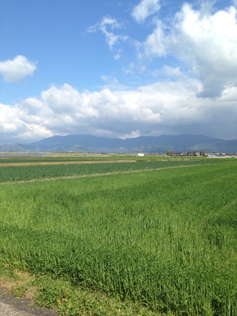 f:id:zyazyaburi:20140404224747j:plain f:id:zyazyaburi:20140404224747j:plain