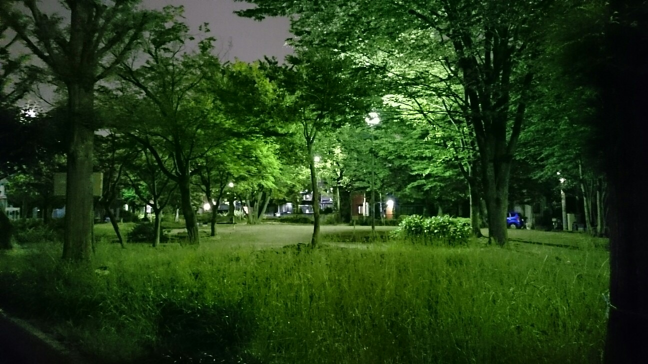 f:id:zyurotya3150:20160607214434j:image f:id:zyurotya3150:20160607214434j:image