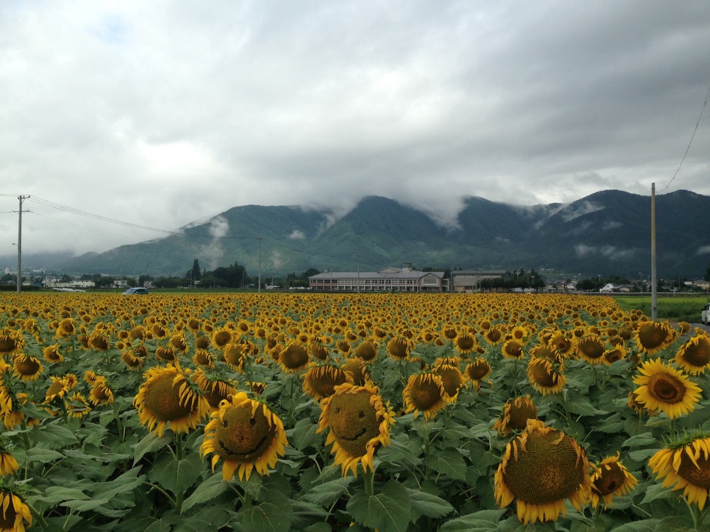 f:id:zzzuke:20150814184644j:image f:id:zzzuke:20150814184644j:image