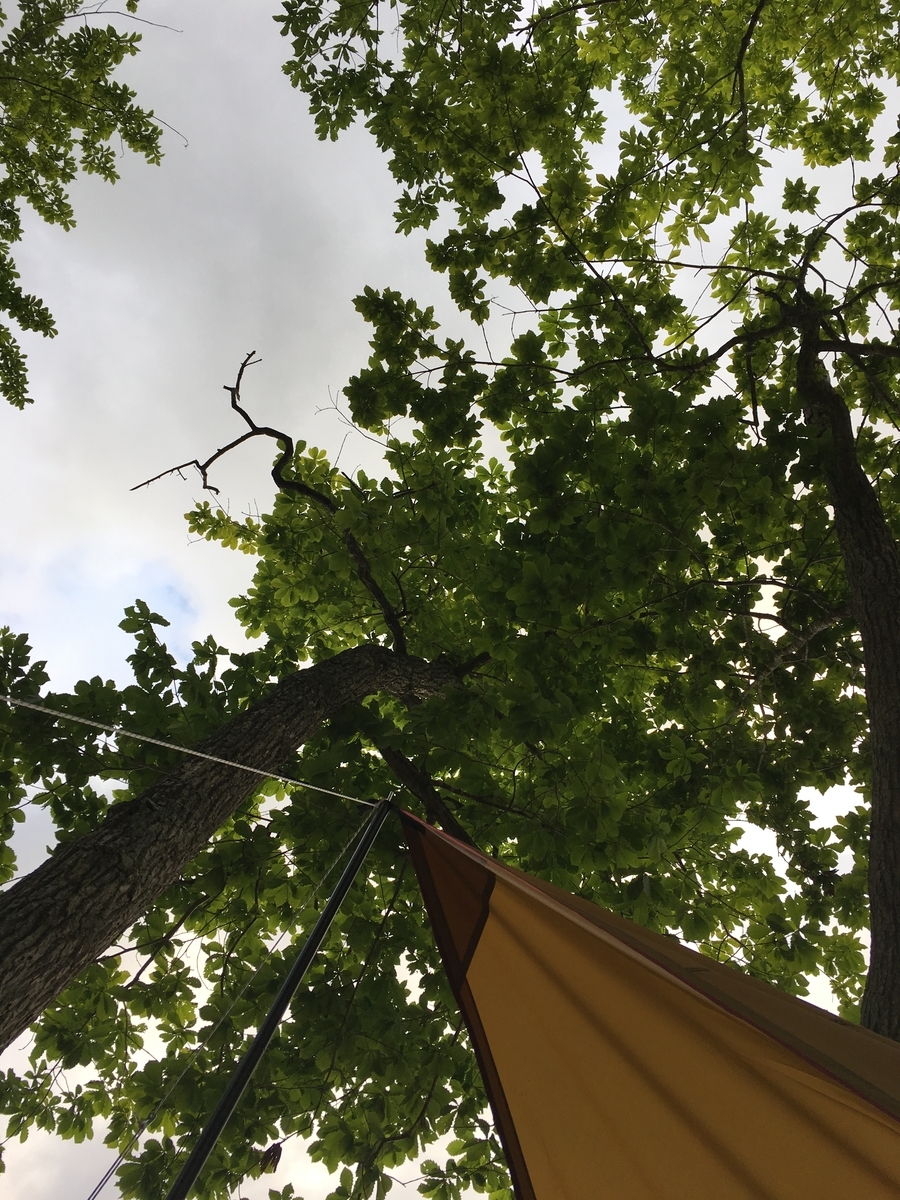 f:id:A---chan:20190808104044j:plain f:id:A---chan:20190808104044j:plain