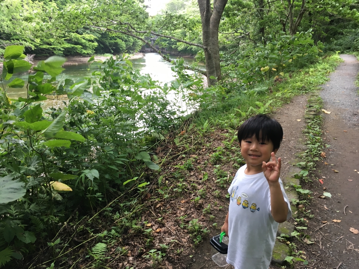 f:id:A---chan:20190808120541j:plain f:id:A---chan:20190808120541j:plain