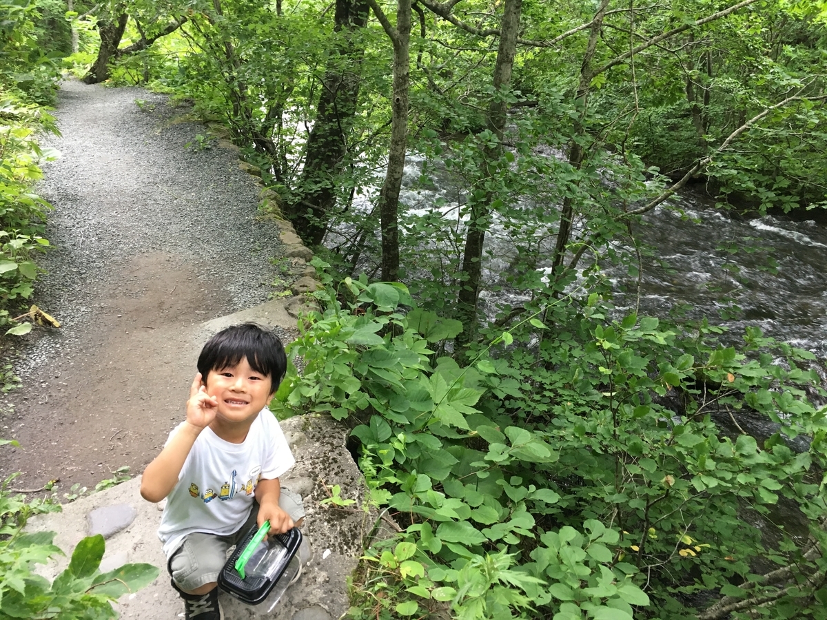 f:id:A---chan:20190808121029j:plain f:id:A---chan:20190808121029j:plain