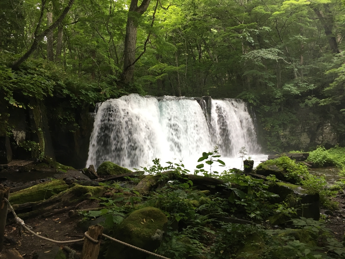 f:id:A---chan:20190808121336j:plain f:id:A---chan:20190808121336j:plain