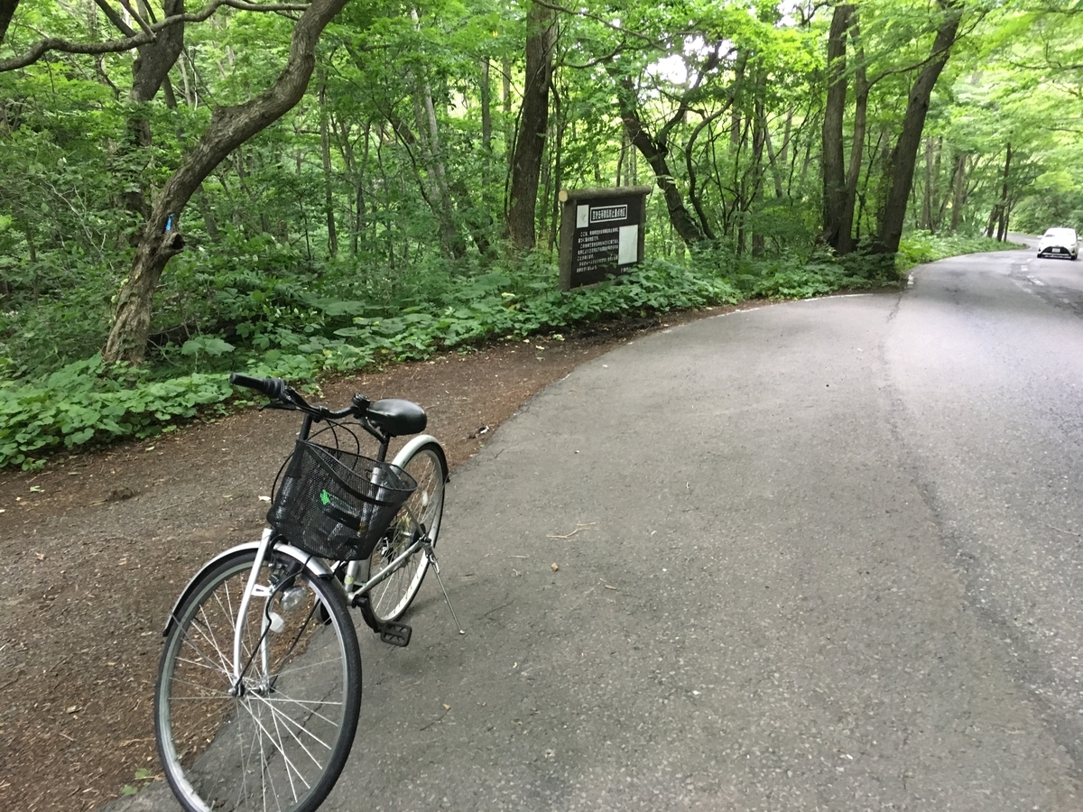 f:id:A---chan:20190808123129j:plain f:id:A---chan:20190808123129j:plain