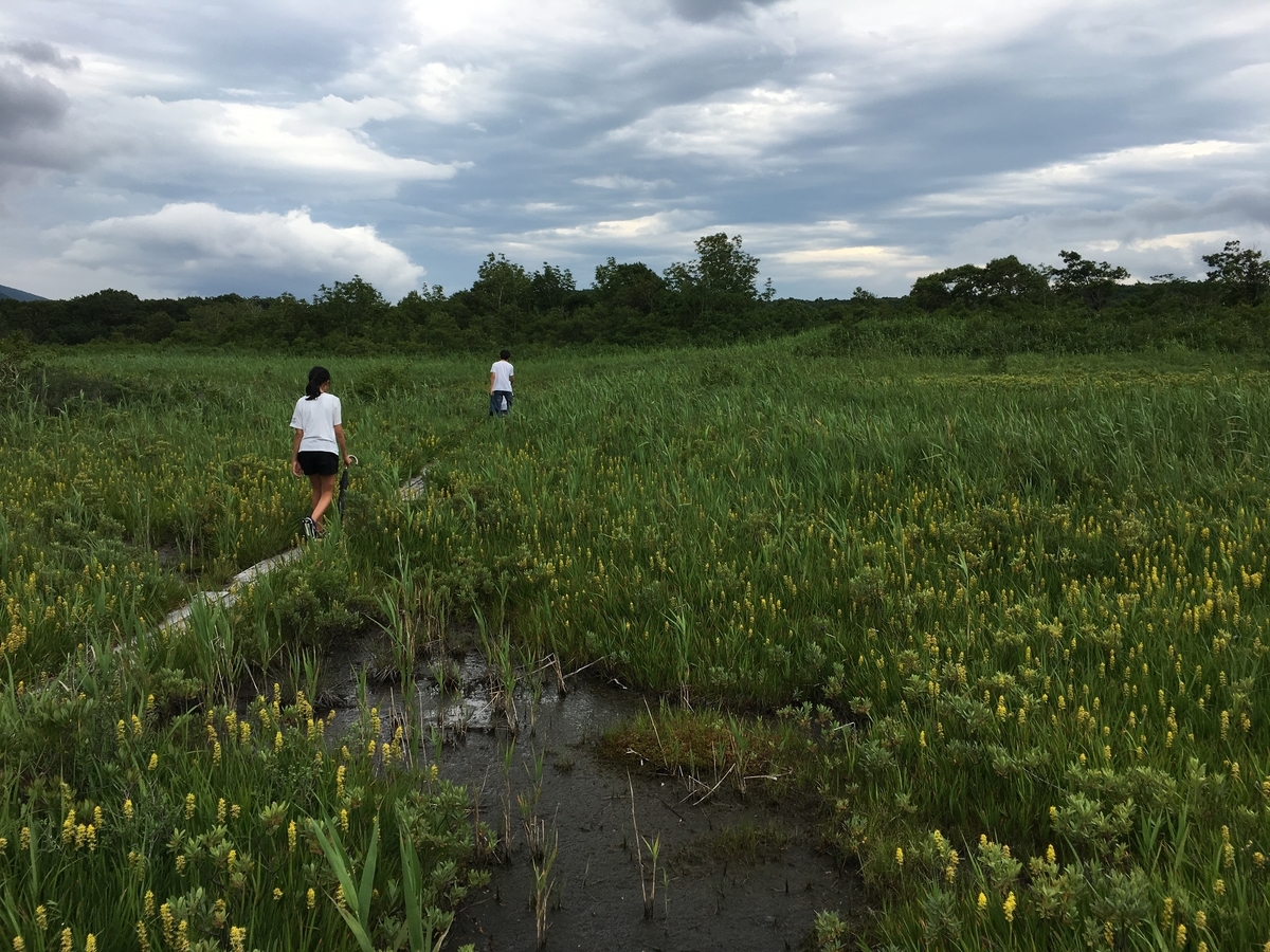 f:id:A---chan:20190808133902j:plain f:id:A---chan:20190808133902j:plain