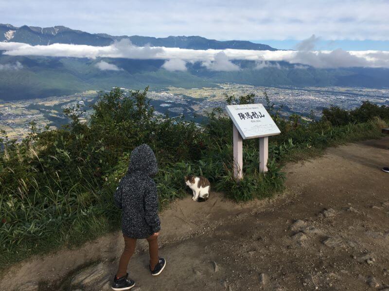 f:id:A---chan:20190925113846j:plain f:id:A---chan:20190925113846j:plain