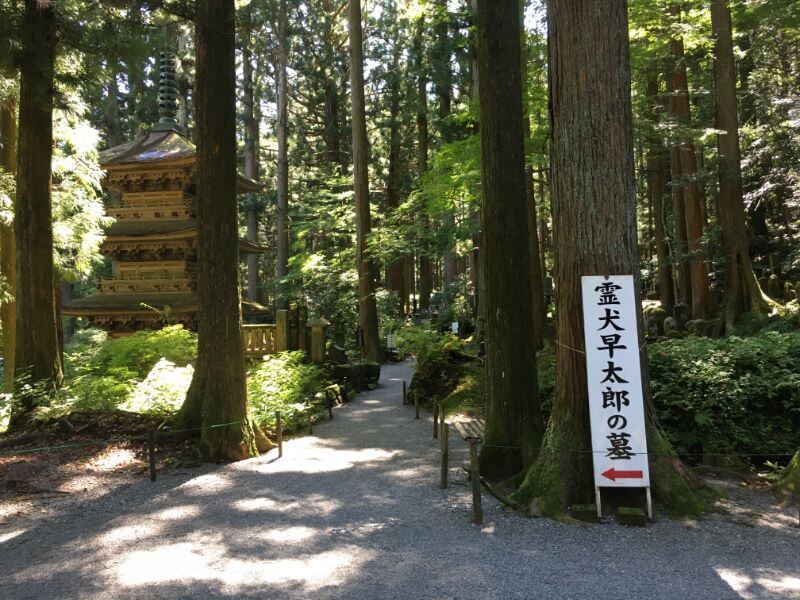 f:id:A---chan:20190925120138j:plain f:id:A---chan:20190925120138j:plain