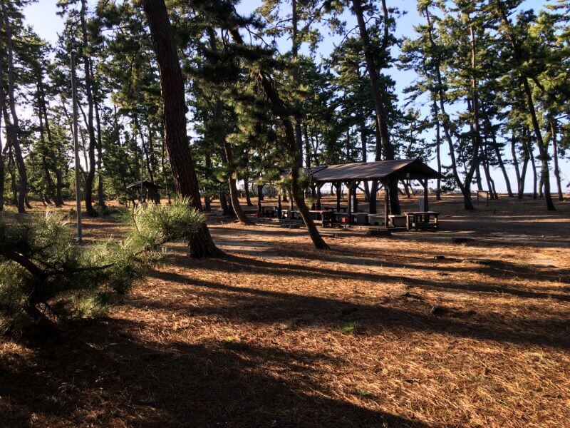 f:id:A---chan:20191009210828j:plain f:id:A---chan:20191009210828j:plain