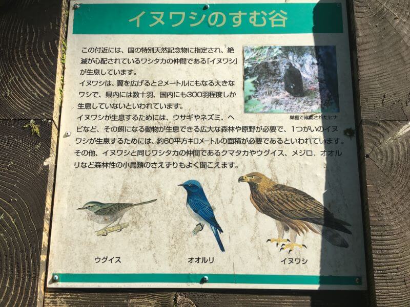 f:id:A---chan:20191013171242j:plain