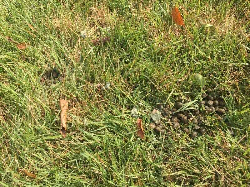 f:id:A---chan:20191020155004j:plain