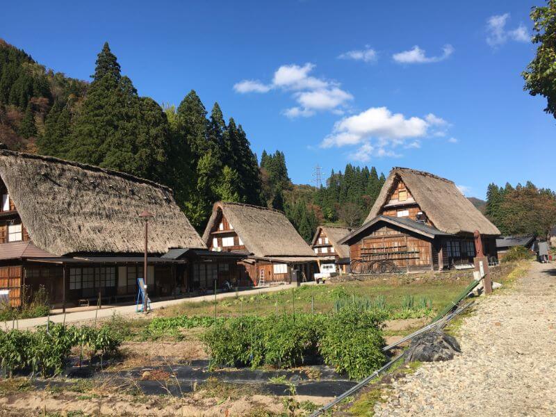 f:id:A---chan:20191107144957j:plain