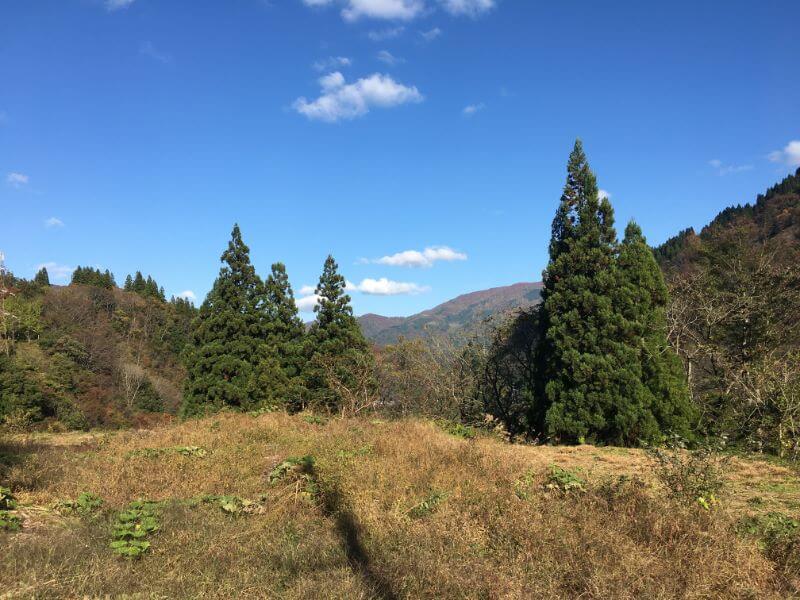 f:id:A---chan:20191107153329j:plain