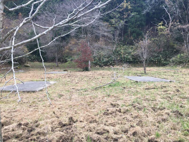 f:id:A---chan:20191205102300j:plain