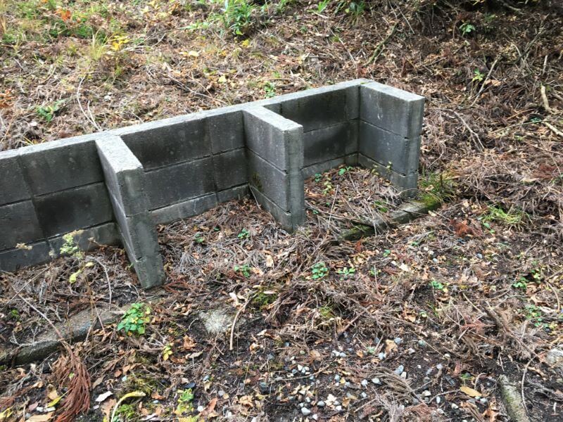 f:id:A---chan:20191205102343j:plain