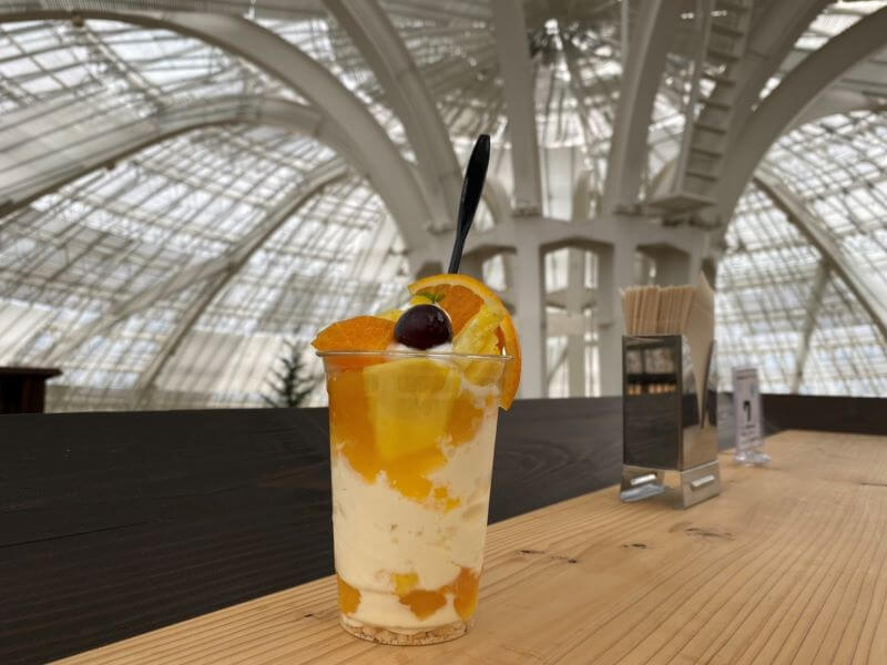 f:id:A---chan:20200103143045j:plain