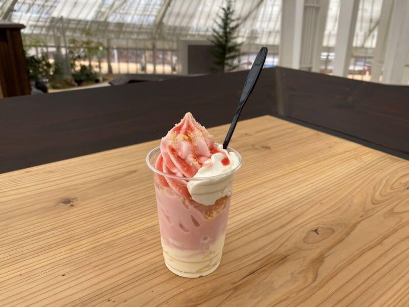 f:id:A---chan:20200103143056j:plain