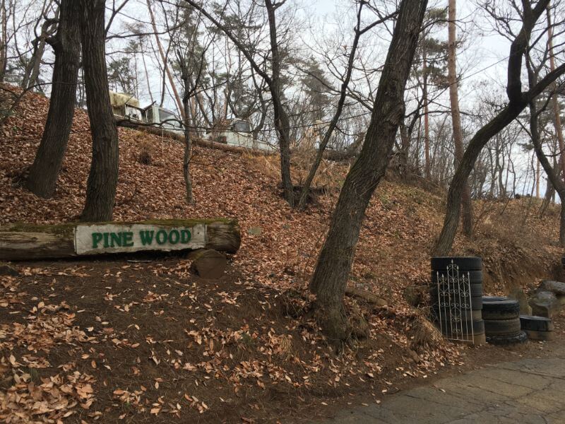 f:id:A---chan:20200103145039j:plain