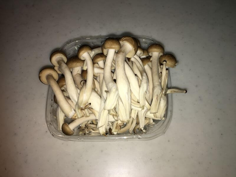 f:id:A---chan:20200109215033j:plain