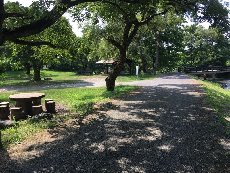 f:id:A---chan:20200223171606j:plain