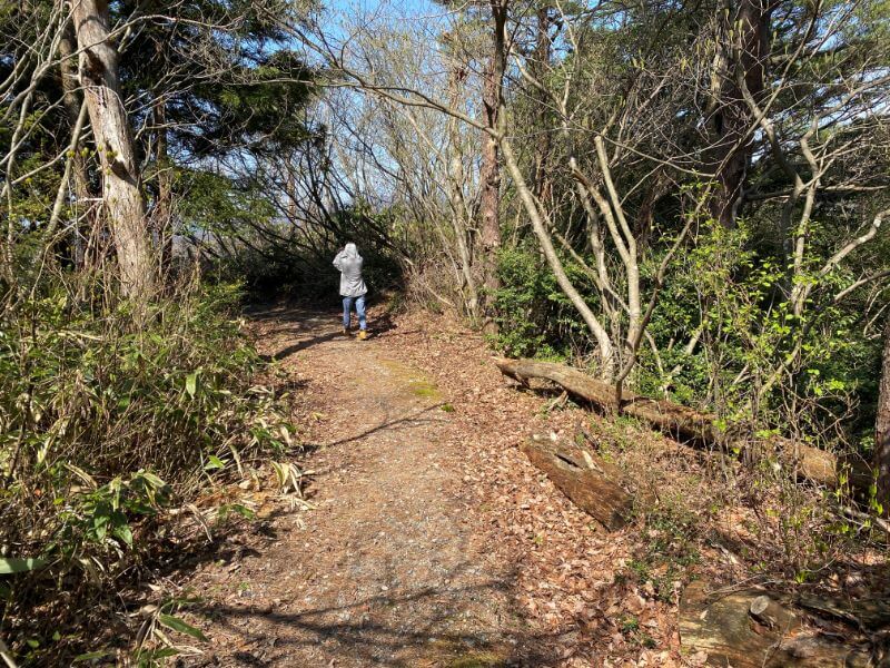 f:id:A---chan:20200415175426j:plain f:id:A---chan:20200415175426j:plain