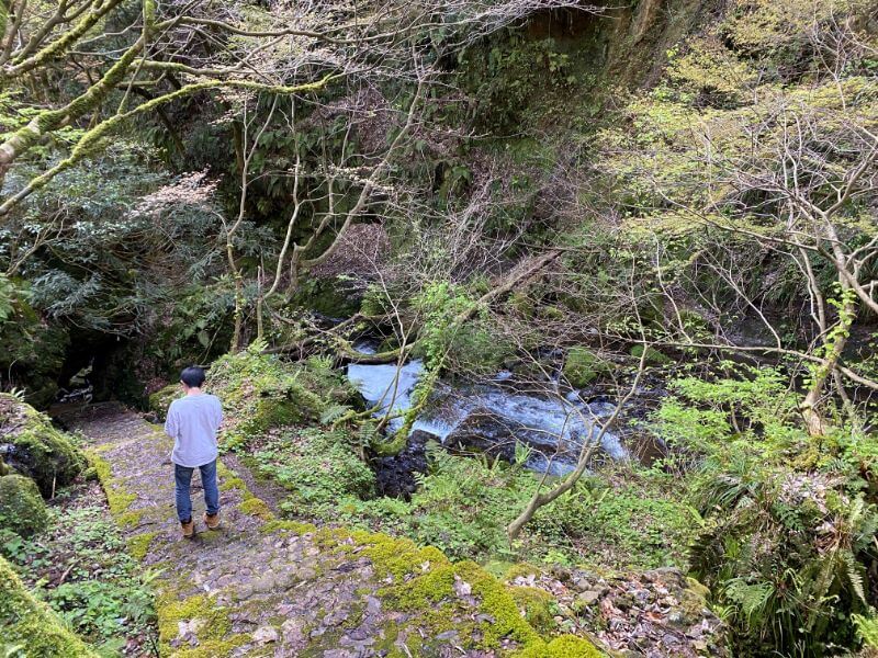 f:id:A---chan:20200415205053j:plain f:id:A---chan:20200415205053j:plain