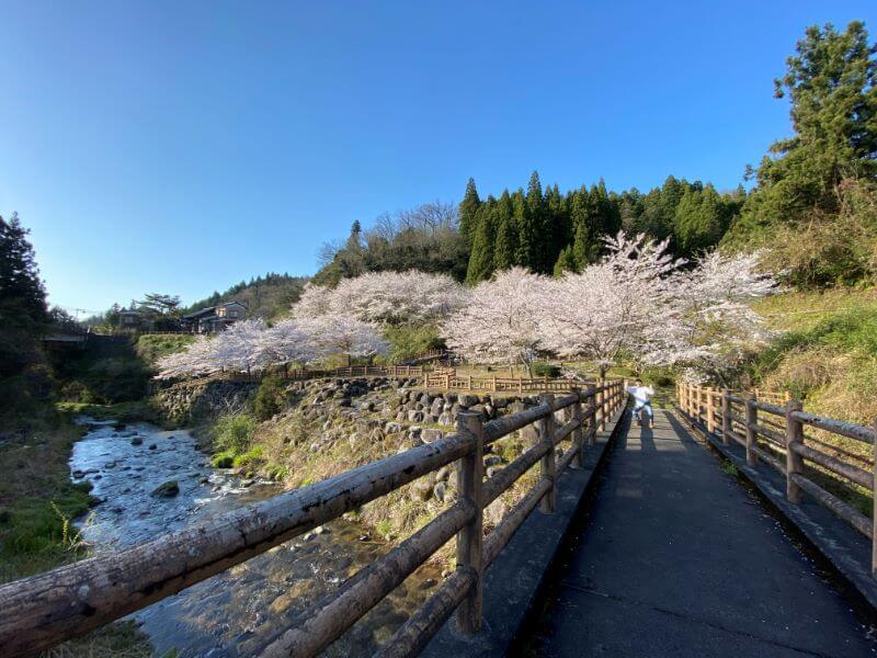 f:id:A---chan:20200415205306j:plain f:id:A---chan:20200415205306j:plain