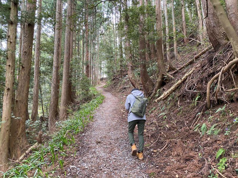 f:id:A---chan:20200418212455j:plain