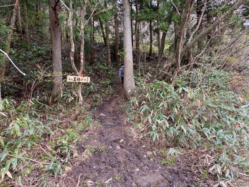 f:id:A---chan:20200418212918j:plain