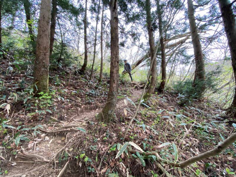 f:id:A---chan:20200418213256j:plain